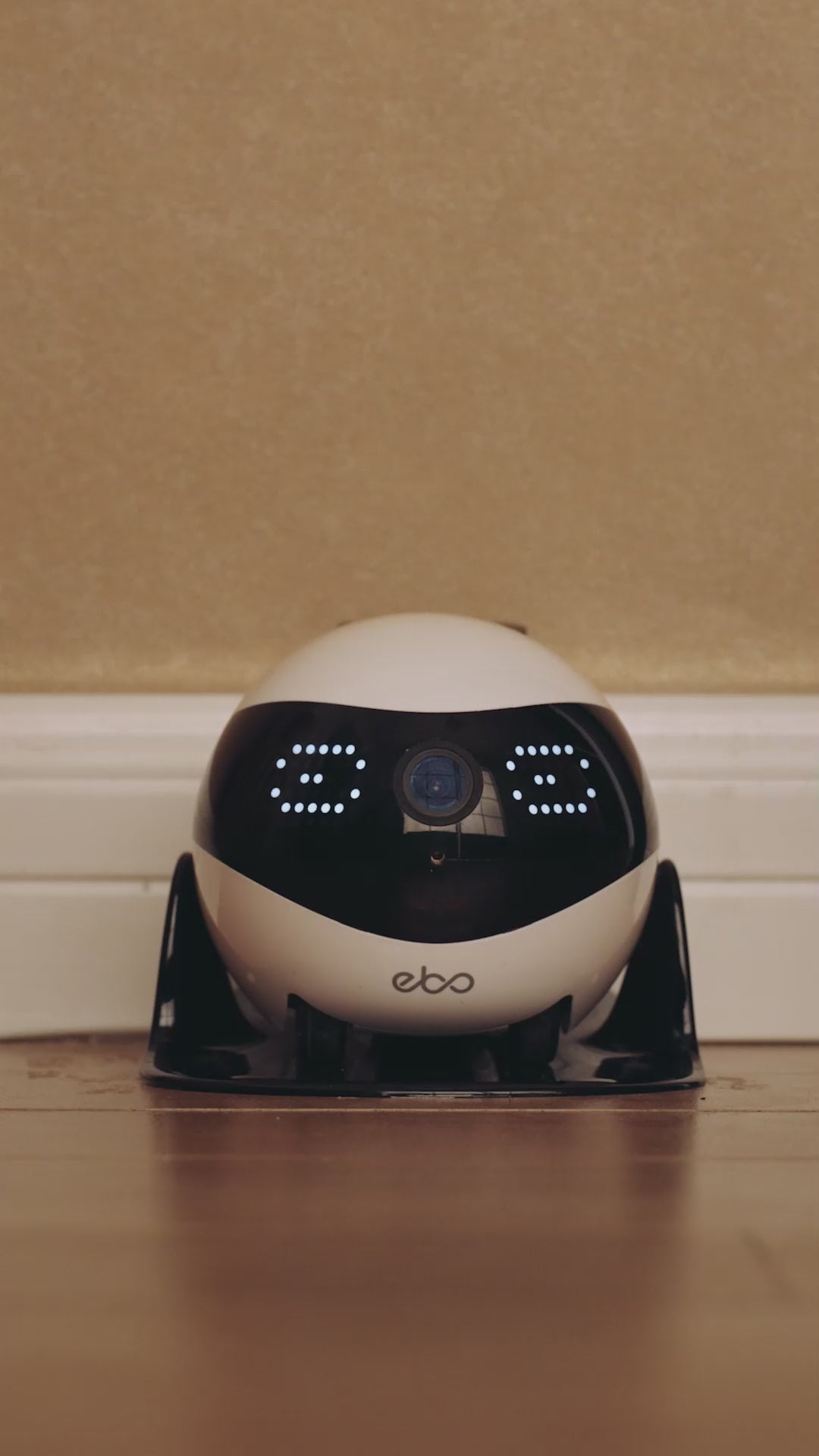 Video of a child playing with Enabot EBO: an educational robot with facial recognition and autonomous movements